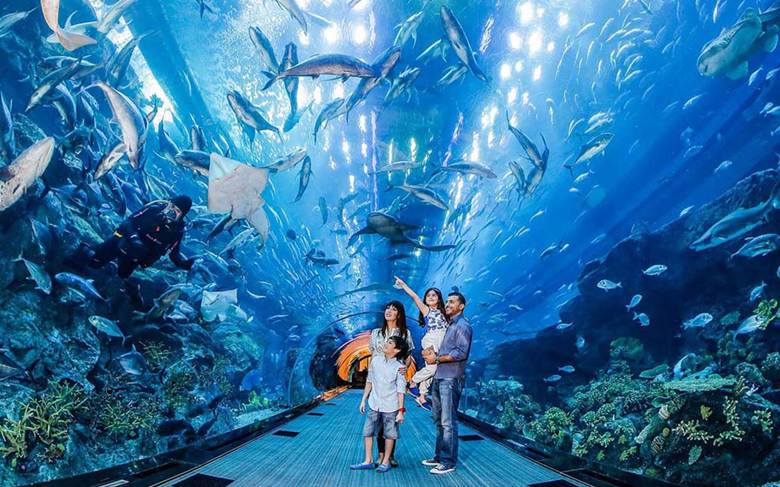 Cheap Things to Do in Bahrain for Adults with Family in 2025 Attend The Marassi Aquarium & Underwater Zoo